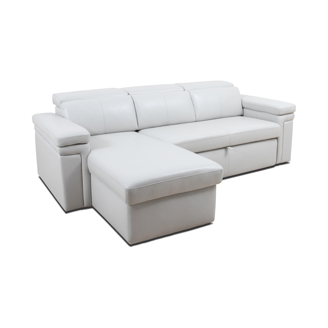 DARWIN Sectional Sofa Bed