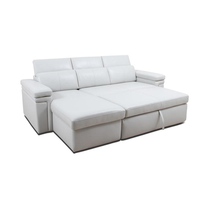DARWIN Sectional Sofa Bed