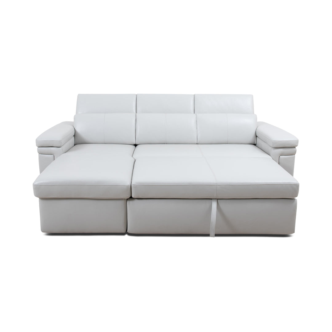 DARWIN Sectional Sofa Bed