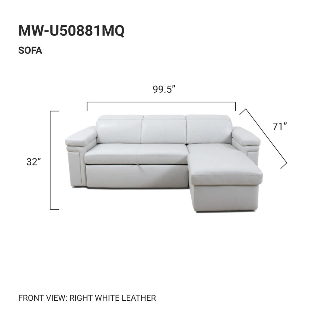DARWIN Sectional Sofa Bed