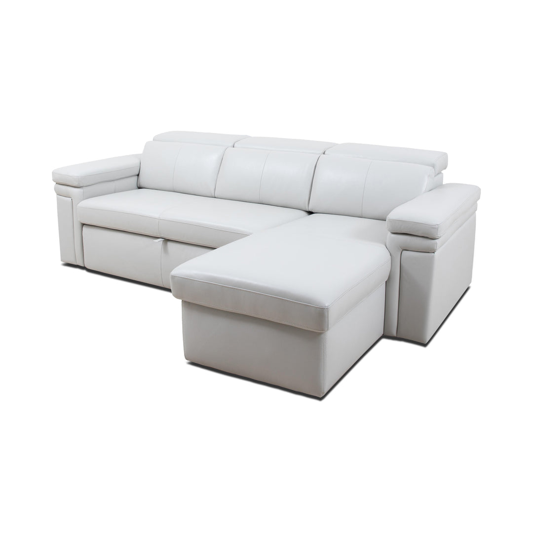 DARWIN Sectional Sofa Bed