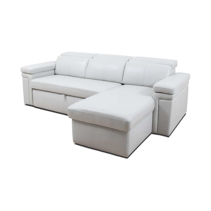 DARWIN Sectional Sofa Bed