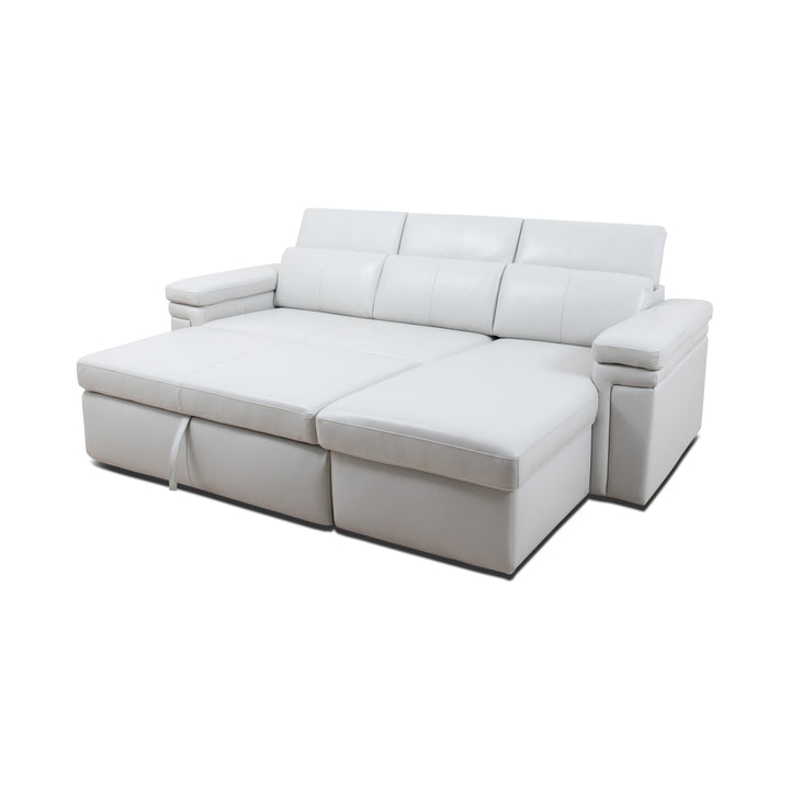 DARWIN Sectional Sofa Bed