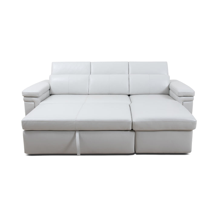 DARWIN Sectional Sofa Bed