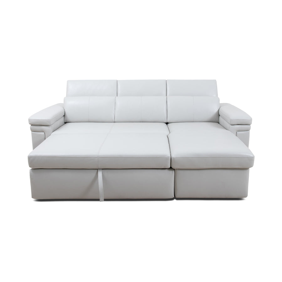 DARWIN Sectional Sofa Bed