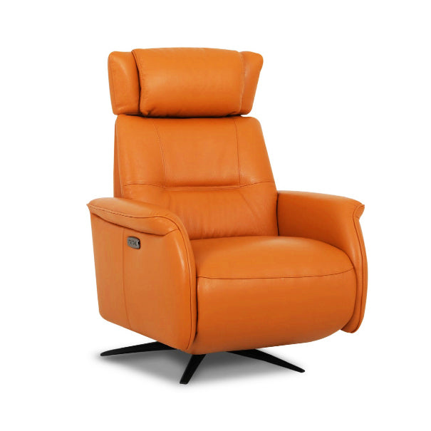 ROLAND Leather Power Motion Sofa Chair