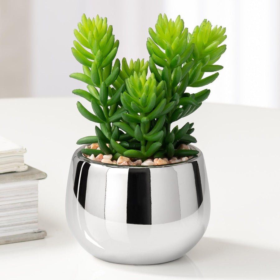 NOELLE Artificial Jellybean Plant