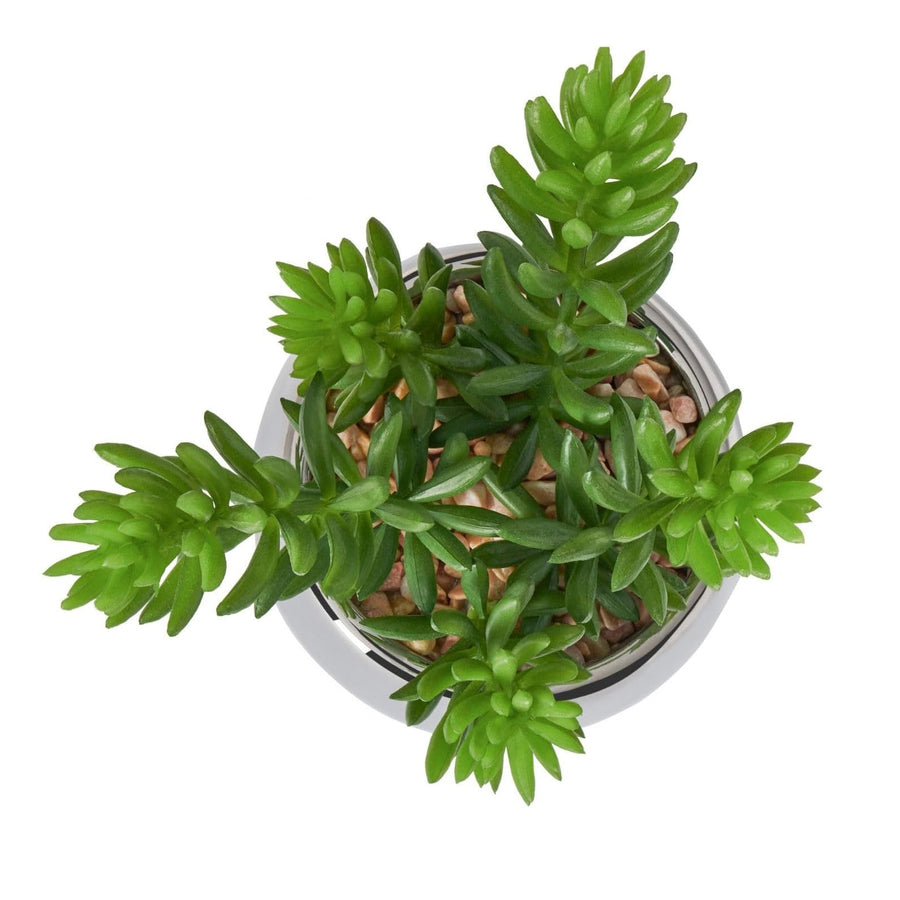 NOELLE Artificial Jellybean Plant
