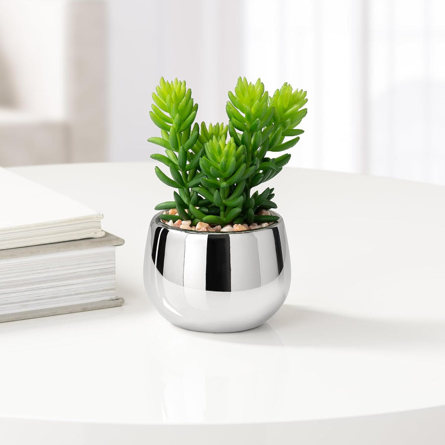 NOELLE Artificial Jellybean Plant