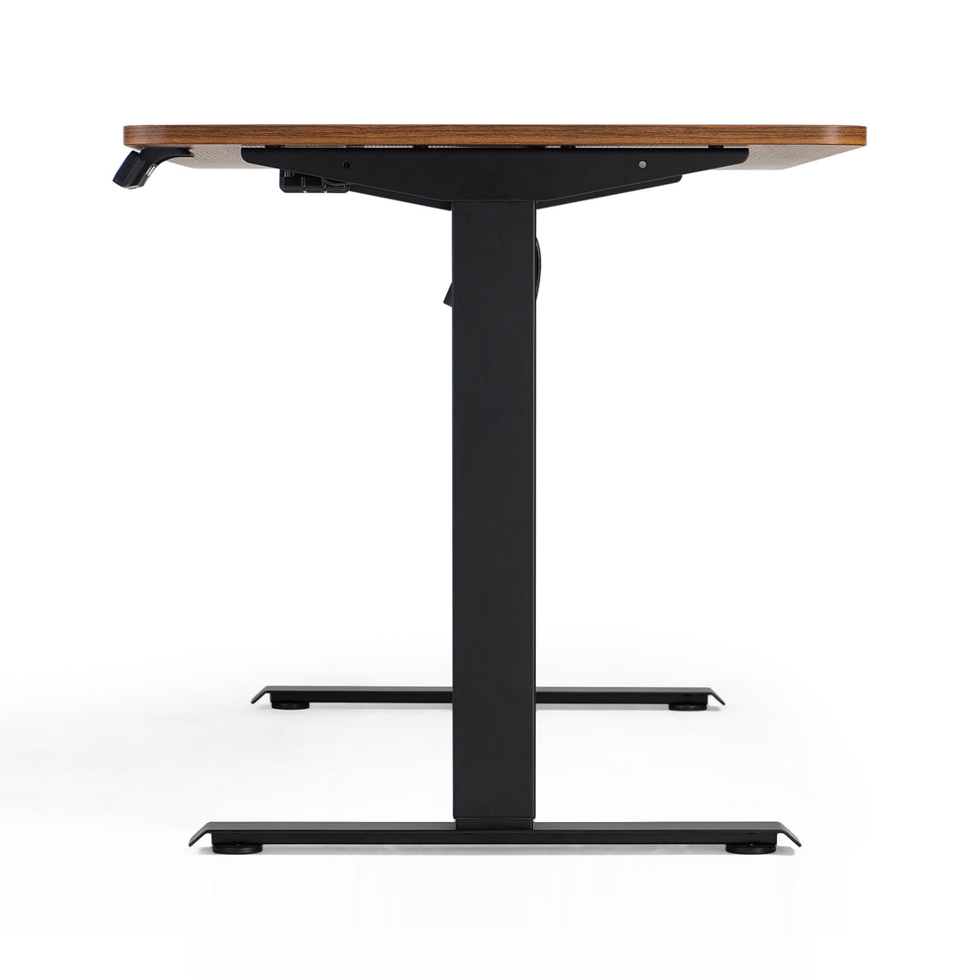 FINN Adjustable Electric Walnut Standing Desk