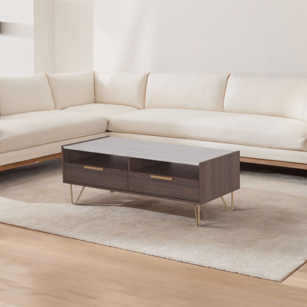 ERWIN Walnut Coffee Table