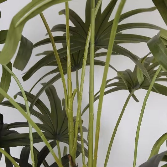 Close up of a potted plant with green leaves against a white background.