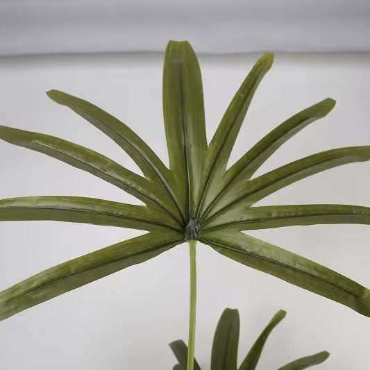 VALENTINA Lush Green Schefflera Plant