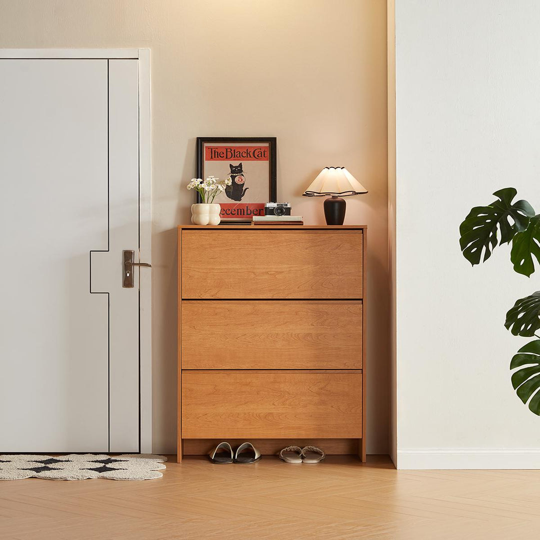 DUSTIN wood color flip top shoe cabinet