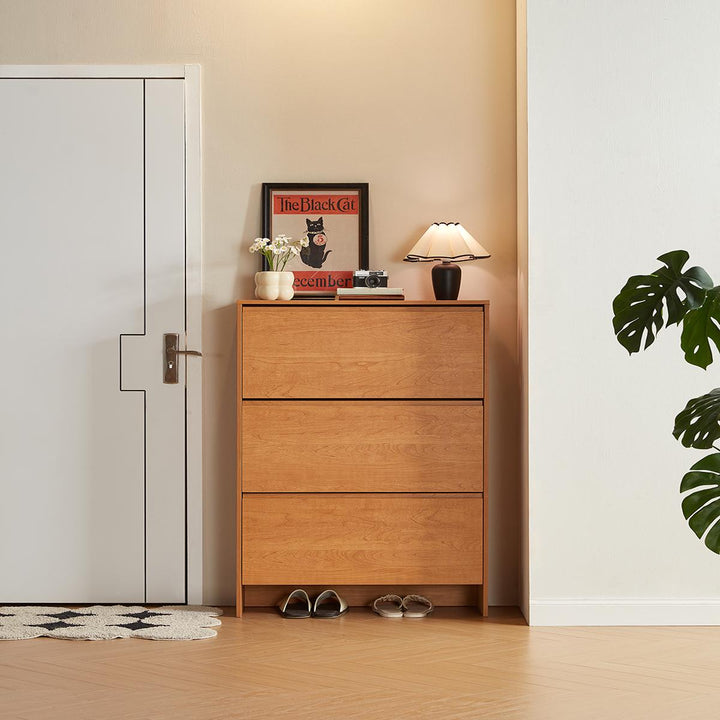 DUSTIN wood color flip top shoe cabinet