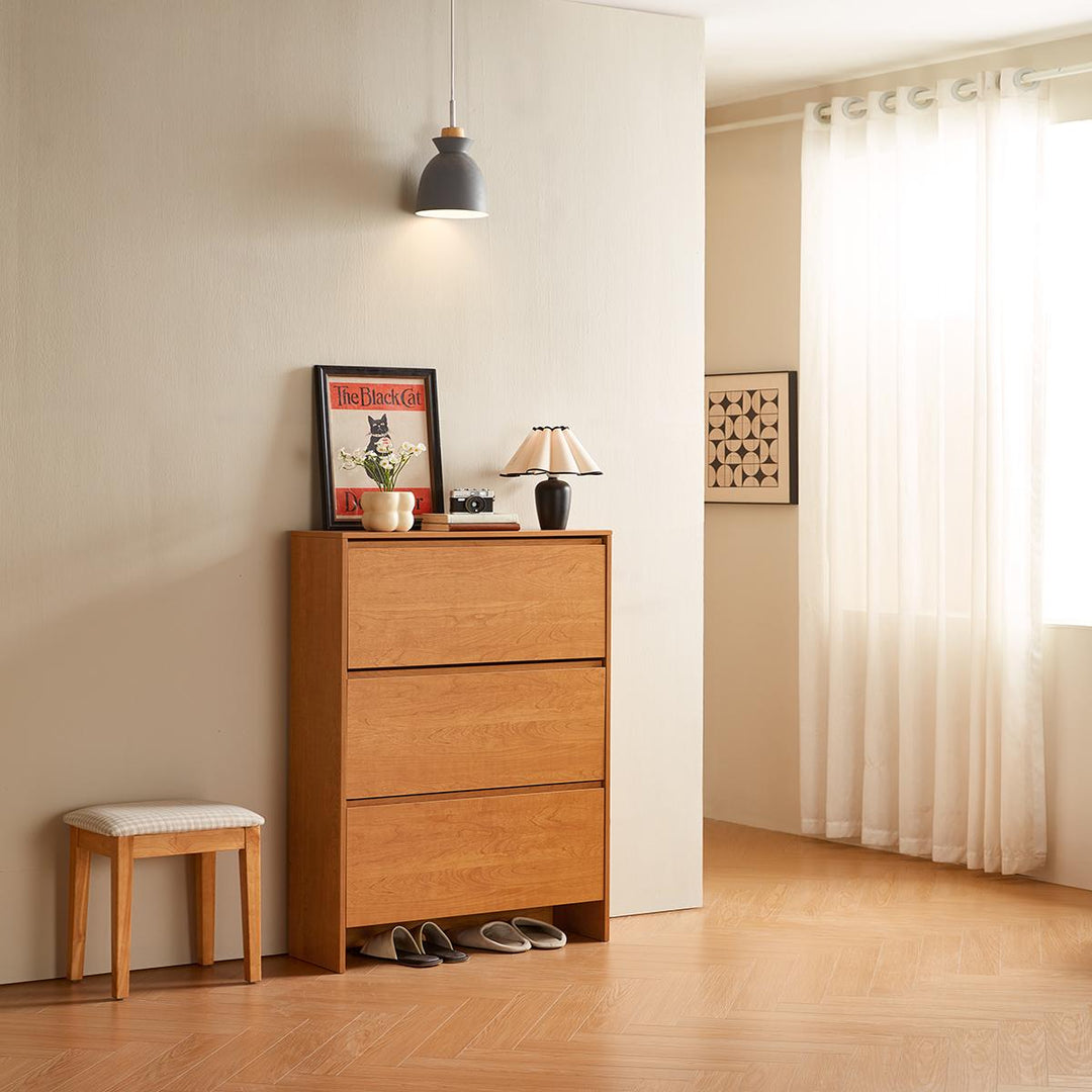 DUSTIN wood color flip top shoe cabinet