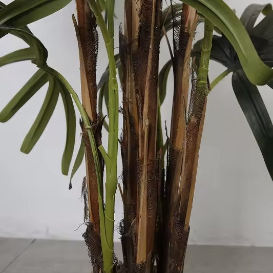 VALENTINA Lush Green Schefflera Plant