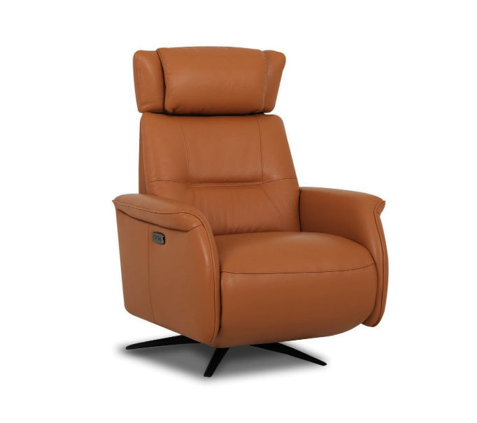 ROLAND Leather Power Motion Sofa Chair