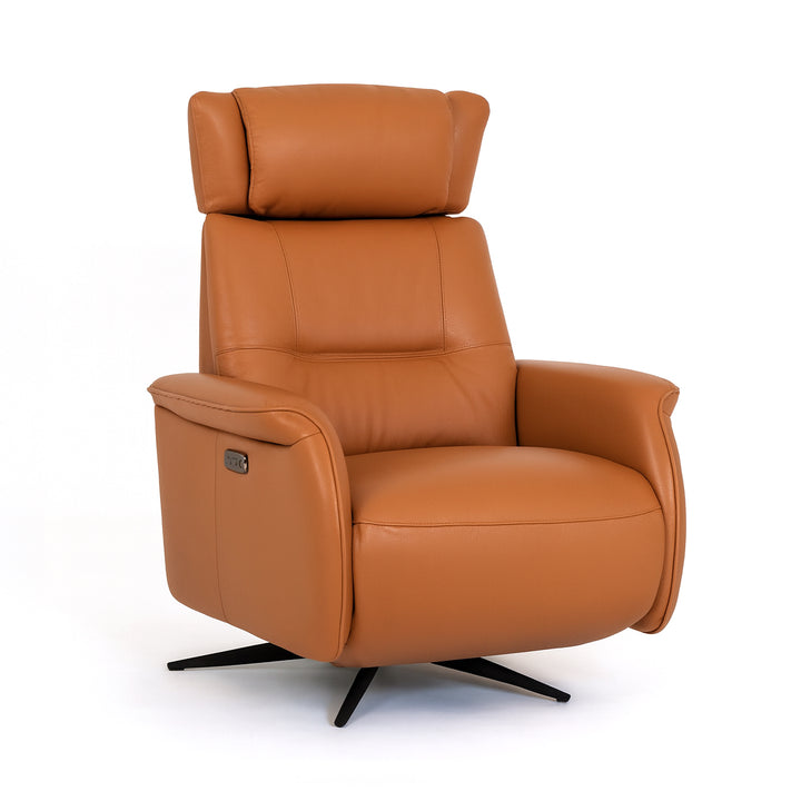 ROLAND Leather Power Motion Sofa Chair