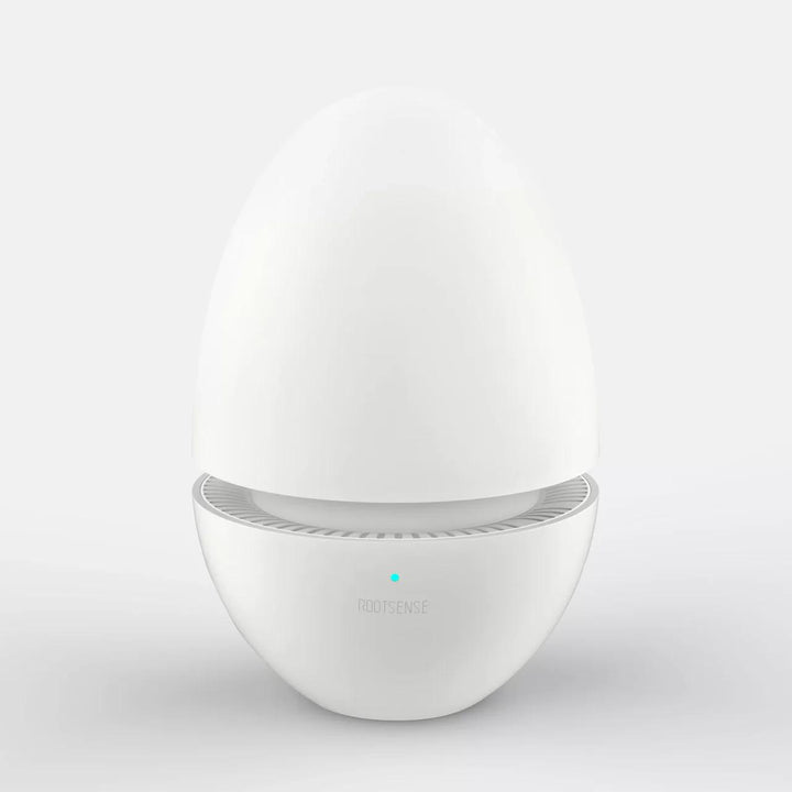 Rootsense Refrigerator Deodorizer