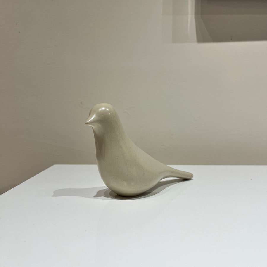Ivory Little Pigeon