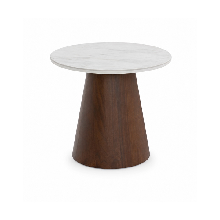 BRIELLE Walnut Ceramic & Wood Coffee Table