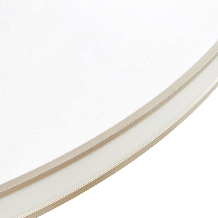 Close-up of a white round surface with a beige rim, presented on a white background.