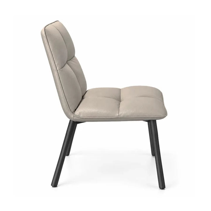 HANA Padded Back Dining Chair