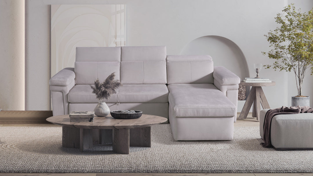DARWIN Sectional Sofa Bed