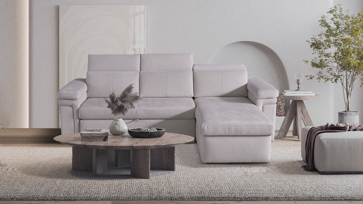DARWIN Sectional Sofa Bed