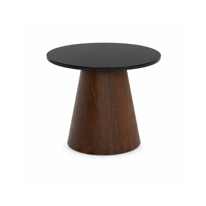 BRIELLE Black Glass & Wood Coffee Table