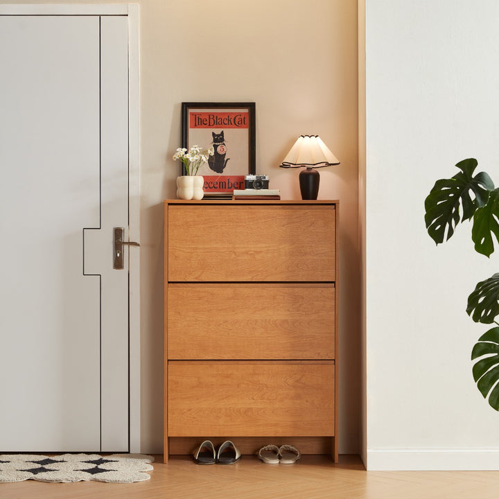 DUSTIN wood color flip top shoe cabinet