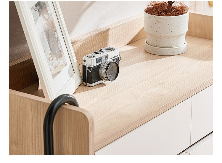 JANITOR shoe cabinet