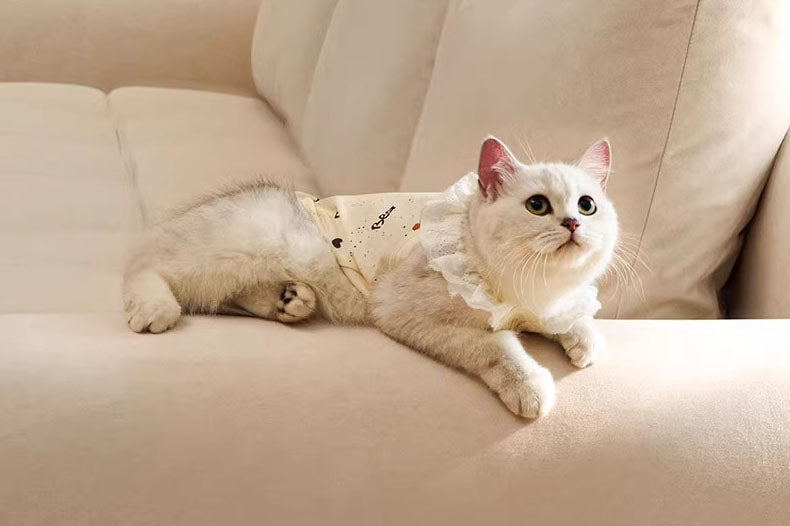 GRACE Pet-Friendly Fabric Sofa