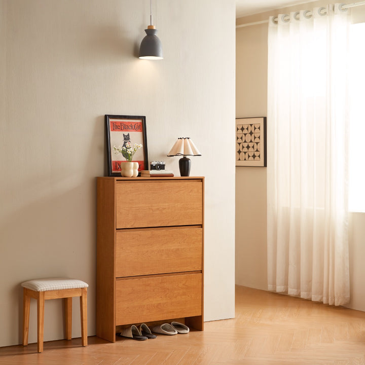 DUSTIN wood color flip top shoe cabinet