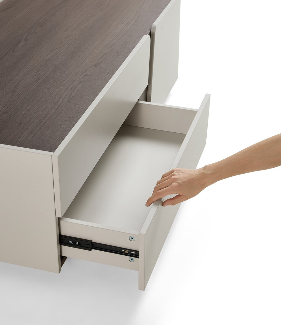 ALANA Storage Coffee Table